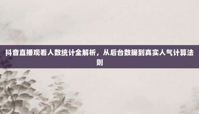抖音直播观看人数统计全解析,从后台数据到真实人气计算法则